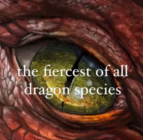 Blast of the Dragon's Fury, Book One