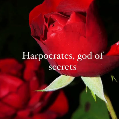 Meet Harpocrates, Greek God of Secrets. The complete YA series bundle is 50%+ cheaper than buying individual eBooks
